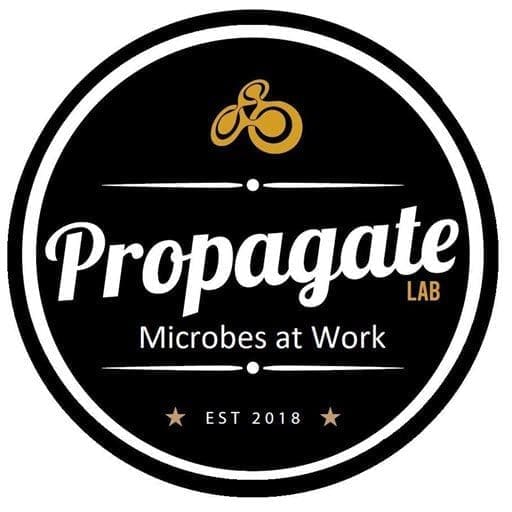 Propagate Logo for website redesign post